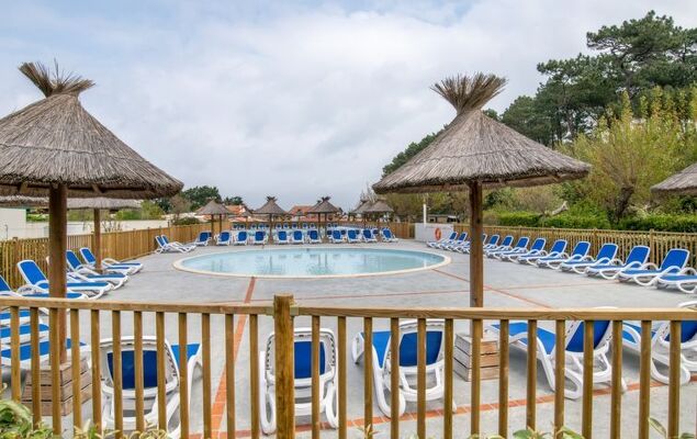 Domaine Iratzia - Photo 3