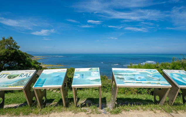 Lore Landa - Photo 35